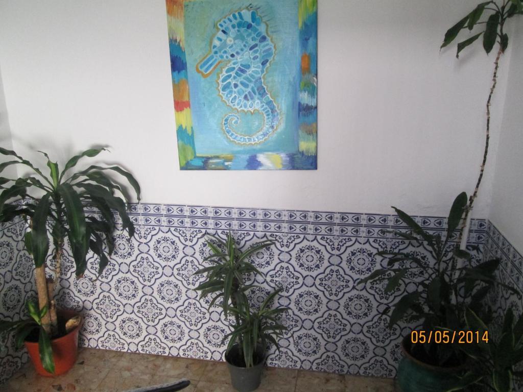 Guest House Pacifica Quarteira Exterior photo